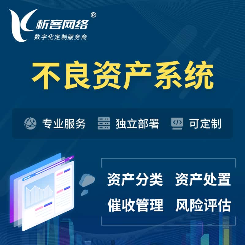 红河哈尼族彝族不良资产管理系统